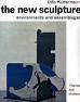 The New Sculpture: Environments and assemblages - Udo Kultermann