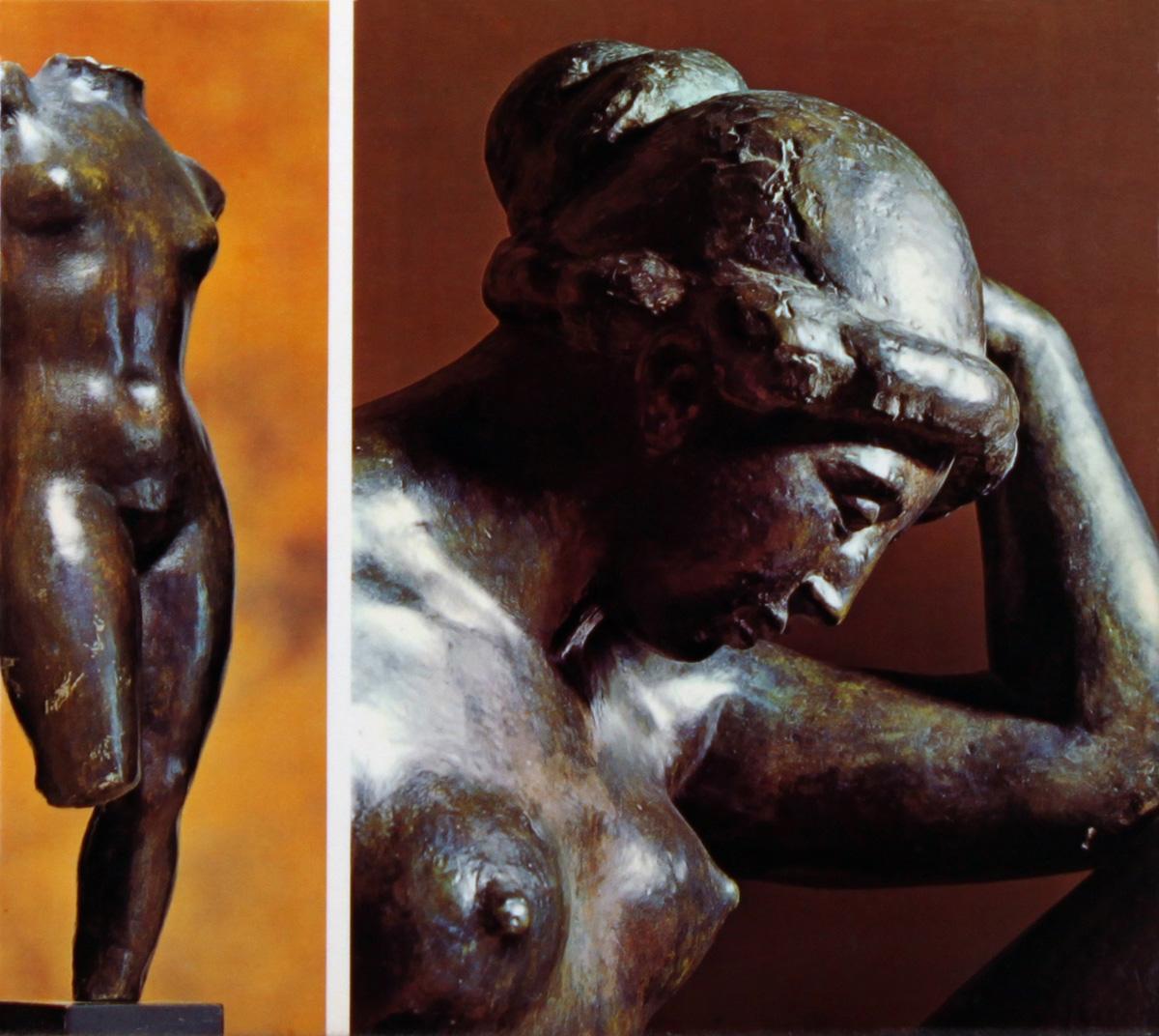 Aristide Maillol - Waldemar George - אריסטיד מאיול - Back To List of Art Books and Artist Monographs