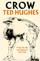 The Crow by Ted Huges - English poetry at its best - טד יוג'ס - שירה אנגלית