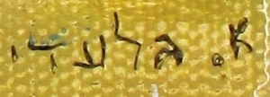 Aharon Giladi Signature - אהרון גלעדי - Artist's signature