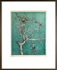 The Israeli Intaglio Master Mordechai Moreh - Color Etching & Drypoint - אמן התחריט הישראלי - מרדכי מורה - Back to List of Paintings