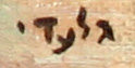 אהרון גלעדי - Aharon Giladi signature in Hebrew - Oil on Canvas